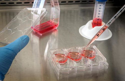 奧浦邁回應(yīng)監(jiān)管問(wèn)詢，深入解讀產(chǎn)品競(jìng)爭(zhēng)格局與技術(shù)地位