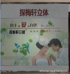 鄭州市金水區探梅軒技術咨詢服務部 藝術品鑒賞與工藝畫收藏指南